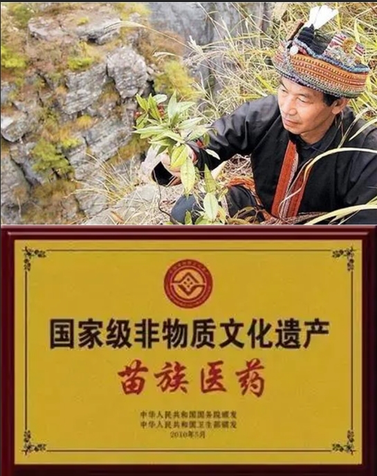 苗医苗药